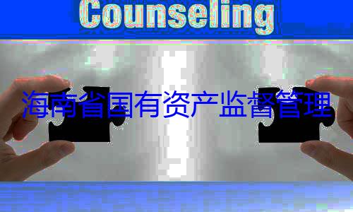理委员会党查调查委副书记王资产监督管有福接受审海南省国有